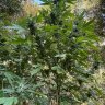 EastCoastOutdoor