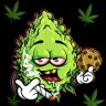 Budmasterflex