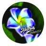 AlohaEmbassy