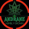 Andrane