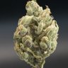 growops.anon