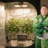 SumoGrow