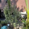Chris420kent
