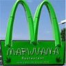 mcdugal