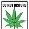DrGreenthumbVT