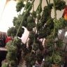 OldToker