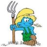 BigBlueBuds