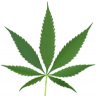 canna2go