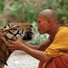 Tiger Brandz