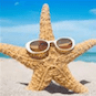 starfish