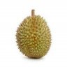 durian