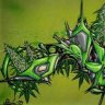 Dvs