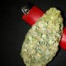 bigg Irish