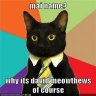 Dave Meowthews