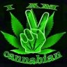 TJCannabis