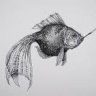 smokeyfish