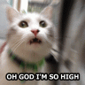 WhoopyKush