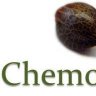 Chemotype