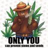 GreenBear