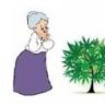 farmerjane
