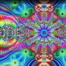 CalyxSmokr