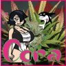 Cora