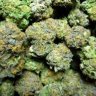 KarmaPharms
