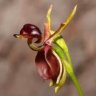 Lelo