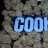 Cookiemonsta