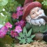 Gnome Grown