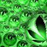 420Florida