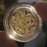dablogic