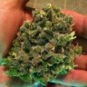 420inc.Co