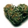 WeedsInChina
