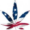 GrowBros