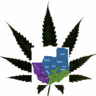 CannabisMan