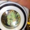 Skywalker85