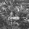 WellGrown