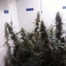 Headies