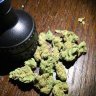 Fatnugz
