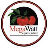 MegaWatt