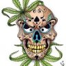 Wilderb