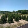 Wefarm