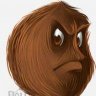 Coco nut