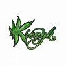 jdkronyk