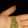 Ganjagreenie