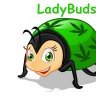 LadyBuds