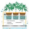 ecocultivos
