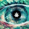 Cultivate420