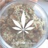 realSTONED